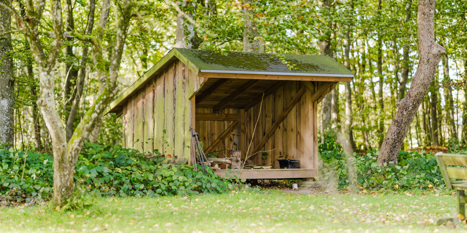 Shelter