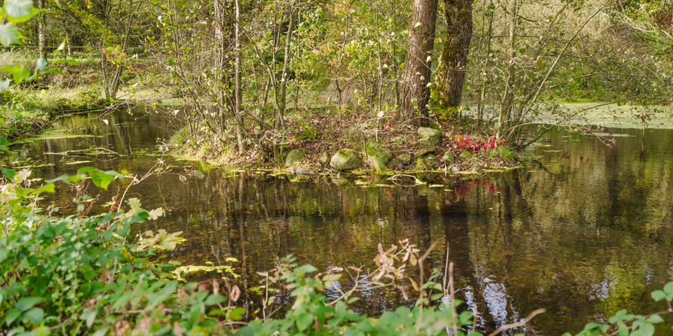 Sø tæt på Fuglemajgård